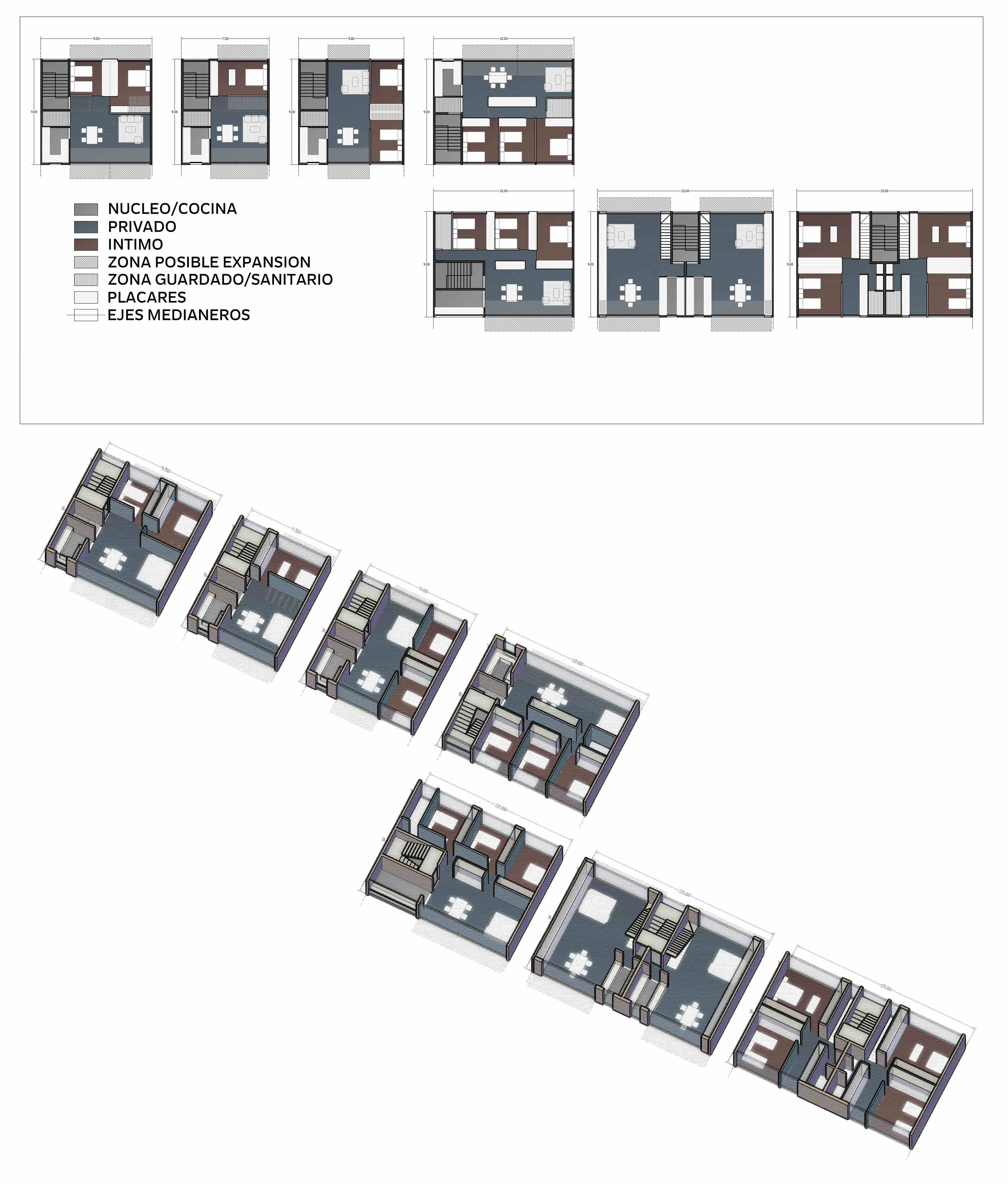 Organización de células
