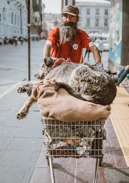 Hombre en situación de calle junto a su perro, Valparaíso.
