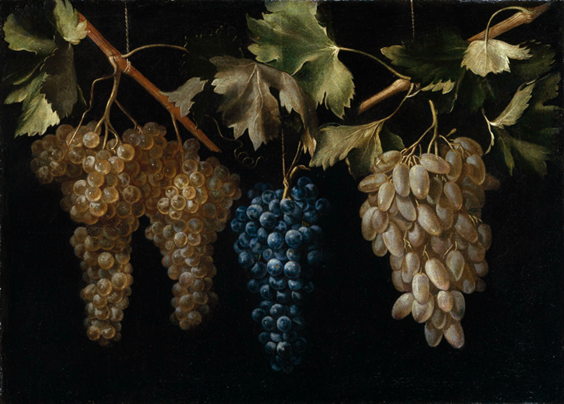 Cuatro racimos de uvas colgando
[óleo sobre tela]. 