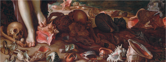 Perseo rescata a Andrómeda
[óleo sobre tela]. Detalle. Wtewael, J. (1611). 