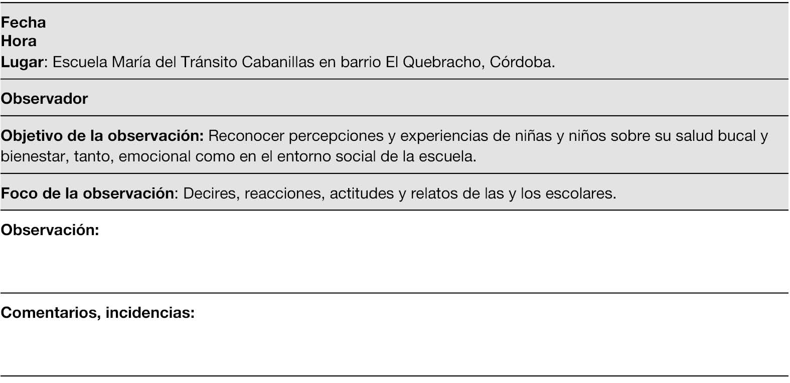 Modelo gráfico de la planilla de registro utilizada durante la observación participante