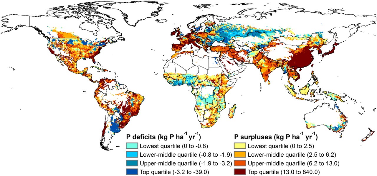 Figura 1: Mapa global de
los desbalances de fósforo para el año 2000 expresados por unidad de área
cultivable. / Figure 1: Global map of
agronomic P imbalances for the year 2000 expressed per unit of cropland area. (MacDonald et al., 2011)