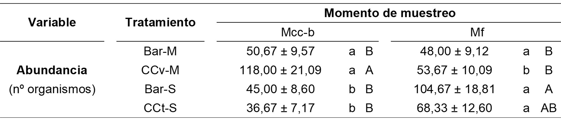 Tabla 2. Valores promedio y error estándar de
abundancia de macrofauna según tratamientos y momentos de muestreo. Letras
minúsculas distintas indican diferencias significativas entre momentos de
muestreo en cada tratamiento; letras mayúsculas distintas indican diferencias
significativas entre tratamientos en cada momento de muestreo (p<0,05).
Referencias: Mcc-b: muestreo al fin de ciclo de los CC y del período de
barbecho; Mf: muestreo luego de la cosecha de los cultivos estivales; Bar-M:
barbecho-maíz; CCv-M: CC vicia-maíz; Bar-S: barbecho-soja; CCt-S: CC
triticale-soja. 

Table 2. Mean values and
standard error of macrofauna abundance according to treatments and sampling
moments. Different lowercase letters show significant differences between
sampling moments at each treatment; different uppercase letters show significant
differences between treatments at each sampling moment (p<0,05). References:
Mcc-b: sampling after CC cycle and fallow period; Mf: sampling after harvest of
cash crops; Bar-M: fallow-corn; CCv-M: CC vetch-corn; Bar-S: fallow-soybean;
CCt-S: CC triticale-soybean.