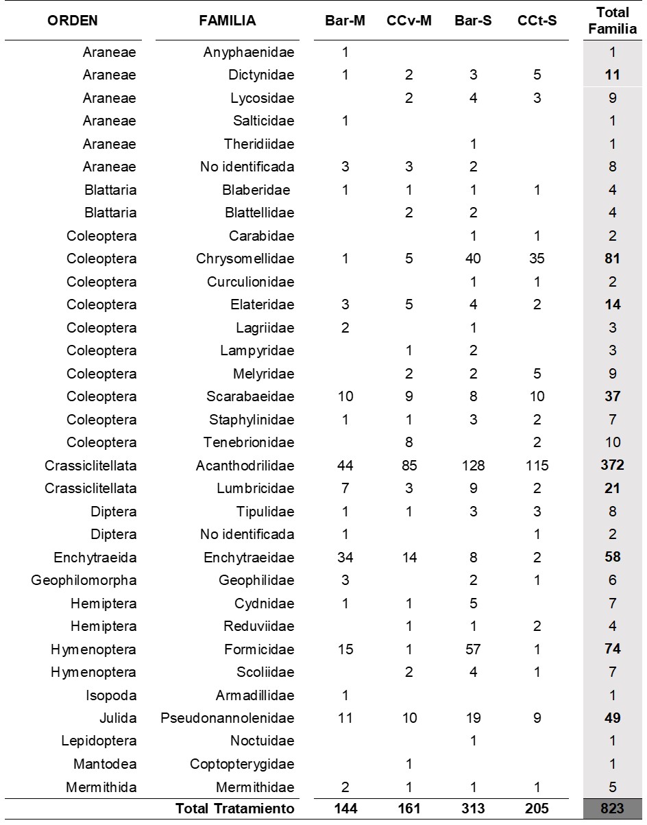 Tabla 4. Abundancia de macrofauna (nº de
organismos) en cada familia según tratamientos en el Mf. Los valores totales
por familia resaltados en negrita son los incluidos en el correspondiente ACC. Referencias de
tratamientos: Bar-M: barbecho-maíz; CCv-M: CC vicia-maíz; Bar-S: barbecho-soja;
CCt-S: CC triticale-soja. 

Table 4. Abundance of
macrofauna (nº of organisms) at each family according to treatments in Mf.
Total bold values per family are the ones which are included in the
corresponding ACC. Treatments references: Bar-M: fallow-corn; CCv-M: CC
vetch-corn; Bar-S: fallow-soybean; CCt-S: CC triticale-soybean.