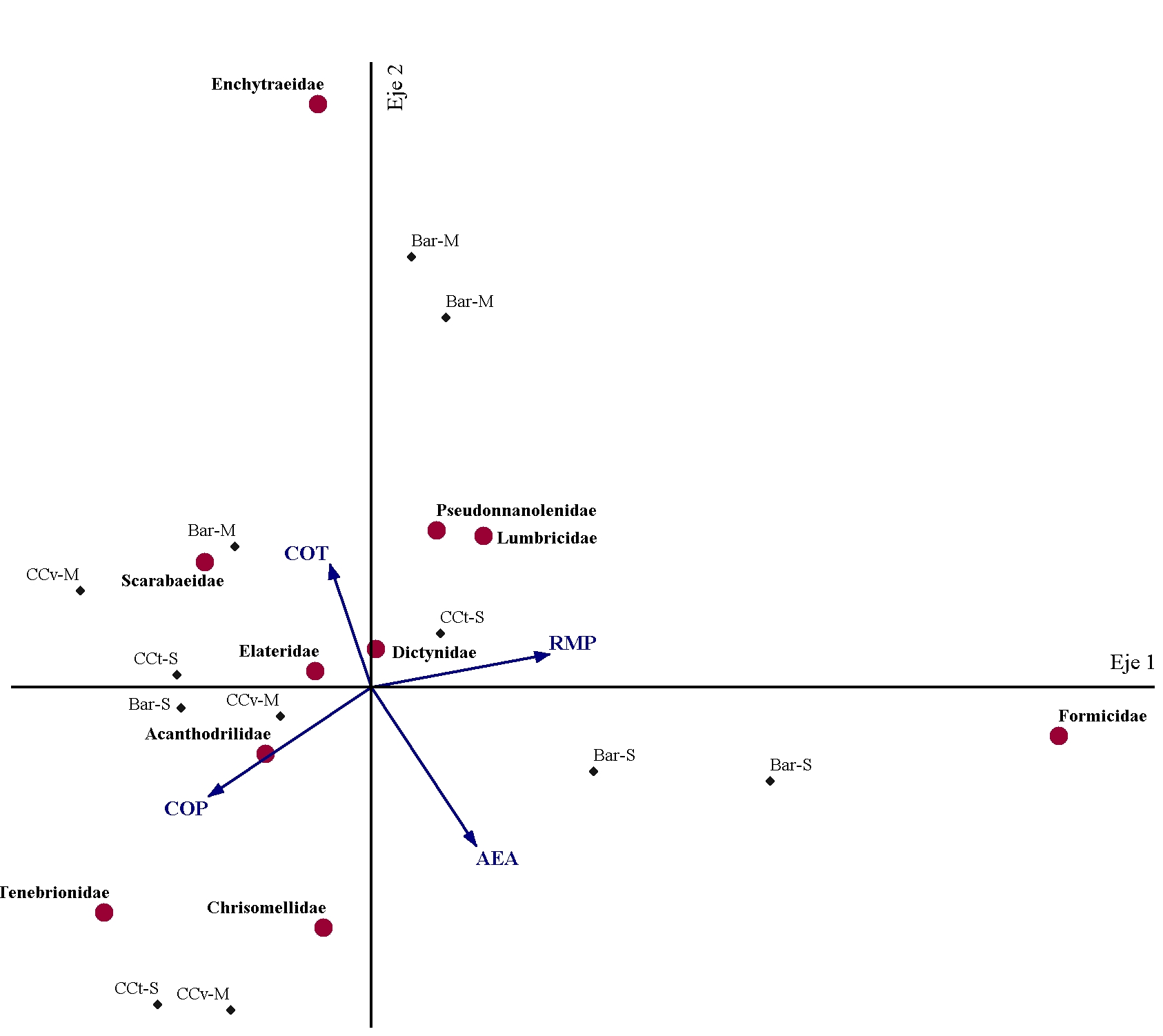 Figura 2. Análisis de Correspondencia Canónica
entre las propiedades edáficas evaluadas y la abundancia de las familias de
macrofauna más representativas en los diferentes tratamientos en el muestreo
luego de la cosecha de los cultivos estivales. Referencias: COT: carbono
orgánico total; COP: carbono orgánico particulado; AEA; agregados estables al
agua; RMP: resistencia mecánica a la penetración; Bar-M: barbecho-maíz; CCv-M:
CC vicia-maíz; Bar-S: barbecho-soja; CCt-S: CC triticale-soja. 

Figure 2. Canonical
Correspondence Analysis between the evaluated soil properties and abundance of
the most representative families of macrofauna in the different treatments in
after cash crops harvest sampling. References: COT: total organic carbon; COP:
particulate organic carbon; AEA: water stable aggregates; RMP: mechanical
penetration resistance; Bar-M: fallow-corn; CCv-M: CC vetch-corn; Bar-S:
fallow-soybean; CCt-S: CC triticale-soybean.