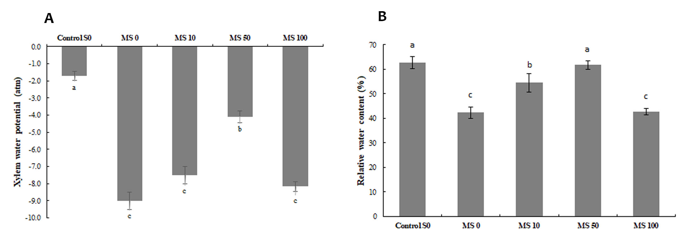 Figure 4. Effect of seed
treatment with melatonin on Xylem Water Potential (A) and Relative Water
Content (B) [Control S0: non-stressed plants, watered with 2.0 dS·m−1
EC solution; MS 0, 10, 50, 100: plants from treated seeds with 0, 10, 50 and
100 μM melatonin solutions, respectively, and watered with 8.0 dS m−1
EC solution]. Diﬀerent letters indicate a significant diﬀerence (P ≤ 0.05)
according to Tukey’s test. 

Figura 4. Efecto del tratamiento de semillas con
melatonina en el Potencial Hídrico del Xilema (A) y Contenido Relativo de Agua
(B). [Control S0: plantas no estresadas, regadas con solución con 2,0 dS m-1
CE; MS 0, 10, 50, 100: plantas de semillas tratadas con soluciones de
melatonina de 0, 10, 50 y 100 μM,
respectivamente, y regadas con solución con 8,0 dS m-1 CE]. Letras
diferentes en la misma columna indican diferencia significativa (P ≤ 0,05) de
acuerdo al test de Tukey.