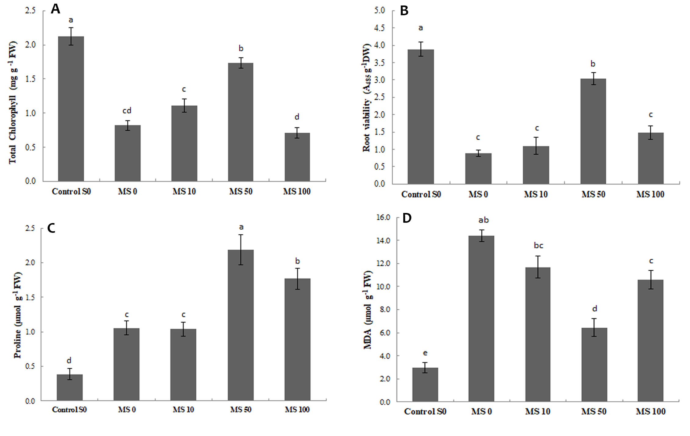 Figure 5. Effect of seed
treatment with melatonin on total chlorophyll (A), root viability (B), proline
(C) and malondialdehyde content (D) [Control S0: non-stressed plants, watered
with 2.0 dS·m−1 EC solution; MS 0, 10, 50, 100: plants from treated
seeds with 0, 10, 50 and 100 μM melatonin solutions, respectively, and watered
with 8.0 dS m−1 EC solution]. Diﬀerent letters indicate a
significant diﬀerence (P ≤ 0.05) according to Tukey’s test. 

Figura 5. Efecto del tratamiento de semillas con
melatonina en Clorofila Total (A), viabilidad de raíces (B), Prolina (C) y
contenido de malondialdehido (D). [Control S0: plantas no estresadas, regadas
con solución con 2,0 dS m-1 CE; MS 0, 10, 50, 100: plantas de
semillas tratadas con soluciones de melatonina de 0, 10, 50 y 100 μM, respectivamente, y regadas con solución con 8,0
dS m-1 CE]. Letras diferentes en la misma columna indican diferencia
significativa (P ≤ 0,05) de acuerdo al test de Tukey.