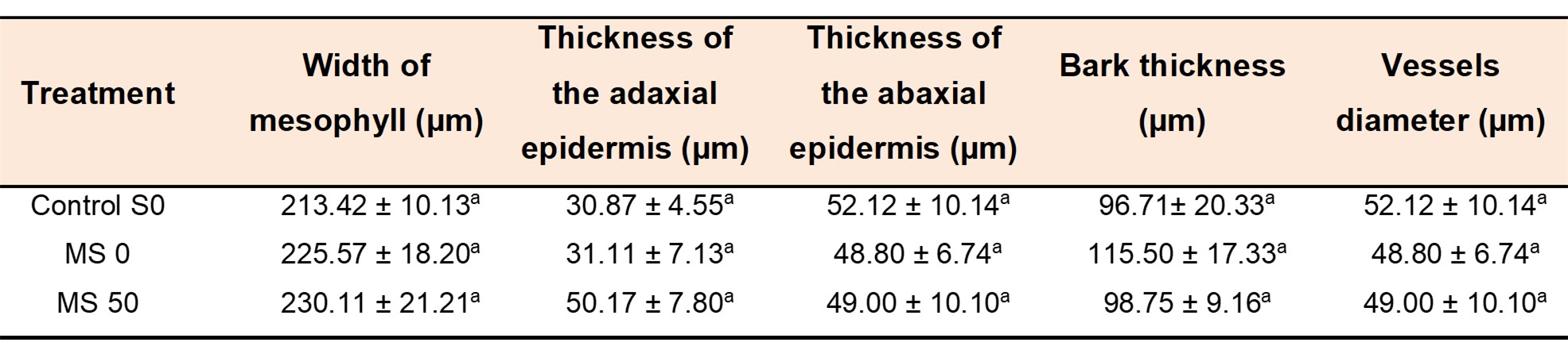 Table 2. Structural
analysis of leaves and stems sections of melon plants 20 days old 

Tabla 2. Análisis estructural de hojas y tallos de
melón de 20 días