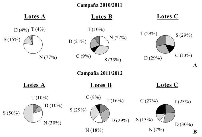 Figura 2. Agrupamiento de lotes por severidad. Lotes A (GMS<1); lotes B (1 (A) Campaña 2010/11. (B) Campaña 2011/12. Figura 2. Clustering of plots by severity. Plots A (GMS<1); plots B (1 (A) Agricultural season 2010/11. (B) Agricultural season 2011/12.