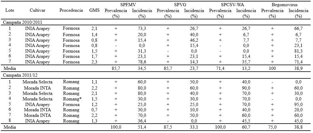 Tabla 2. Grado medio de severidad de síntomas (GMS), prevalencia e incidencia (%) de SPFMV, SPVG, SPCSV-WA y begomovirus en siete lotes de batata cv. INIA Arapey (campaña 2010/11) y en ocho lotes con clon Morada Selecta y cvs. INIA Arapey y Morada INTA (campaña 2011/12). Colonia Caroya, Córdoba. Referencias: los signos (+) y (-) significan presencia y ausencia, respectivamente, de cada virus por lote. *plantas procedentes de Romang, con un año de cultivo en Cruz del Eje (Córdoba). Table 2. Average degree of symptom severity (GMS), prevalence and incidence (%) of SPFMV, SPVG, SPCSV-WA and SPLCV in seven plots of sweet potato cv. INIA Arapey (agricultural season 2010/11) and in eight plots with clone Morada Selecta and cvs. INIA Arapey and Morada INTA (agricultural season 2011/12). Colonia Caroya, Córdoba. References: the signs (+) and (-) indicate the presence and absence, respectively, of each virus. *plants from Romang, with one year of cultivation in Cruz del Eje (Córdoba).