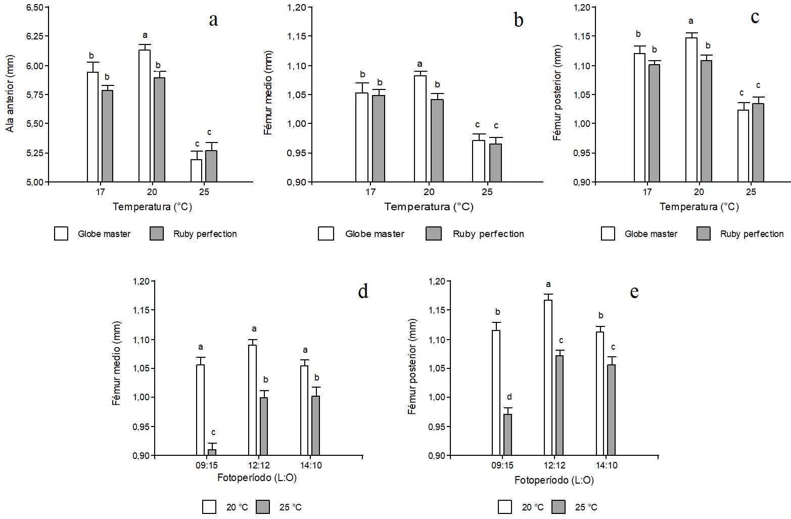 Efecto de interacci&oacute;n entre h&iacute;brido y temperatura sobre el tama&ntilde;o del ala anterior (a); f&eacute;mur medio (b); f&eacute;mur posterior (c), y el efecto de interacci&oacute;n entre la temperatura y el fotoperiodo en f&eacute;mur medio (d) y f&eacute;mur posterior (e), de Plutella. xylostella. Diferentes letras en la parte superior de columnas indican diferencias significativas (LSD, p = 0,05). / Interaction effect between hybrid and temperature on forewing size (a); middle femur (b); posterior femur (c), and the interaction effect between temperature and photoperiod in the middle femur (d) and posterior femur (e), of P. xylostella. Different letters at the top of columns indicate significant differences, according to the LSD test (p = 0,05).