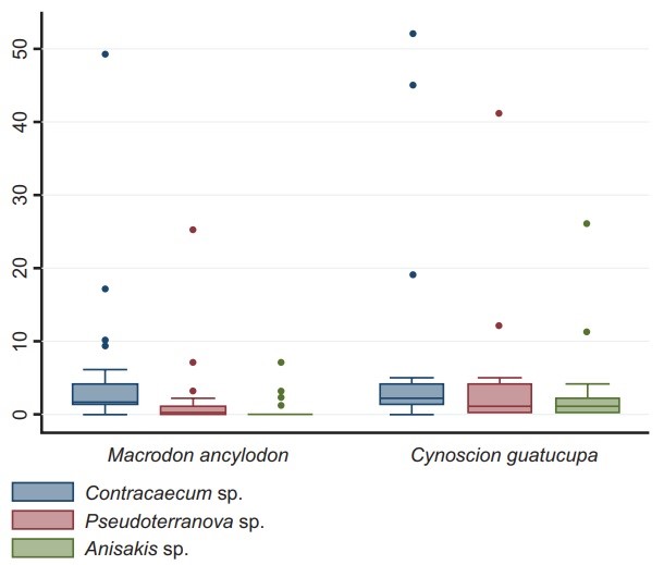 Representatividad de los géneros de anisákidos identificados en los ejemplares parasitados de C. guatucupa y M. ancylodon mediante visualización de estructuras digestivas al microscopio (N=481 larvas).