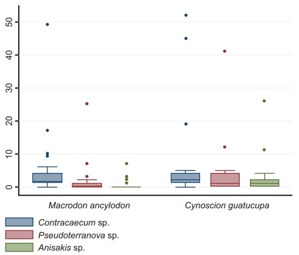 Representatividad de los géneros de anisákidos identificados en los ejemplares parasitados de C. guatucupa y M. ancylodon mediante visualización de estructuras digestivas al microscopio (N=481 larvas).