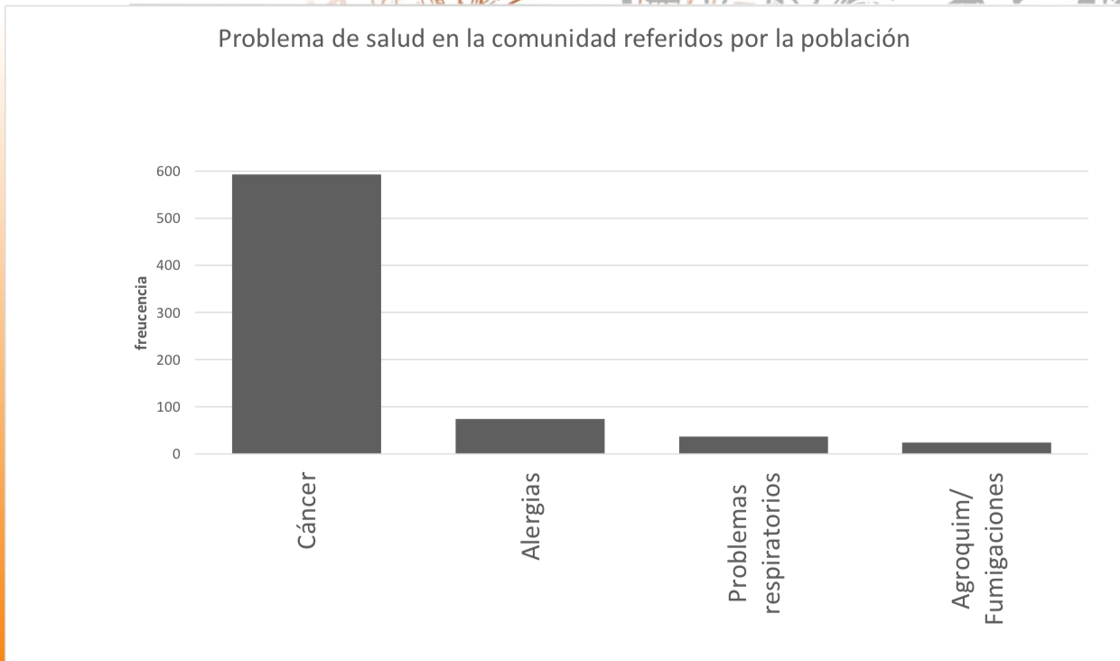 Problemas de salud en la
comunidad referidos por la población. Fuente: Informe Perfil de morbimortalidad
de San Salvador, Entre Ríos.