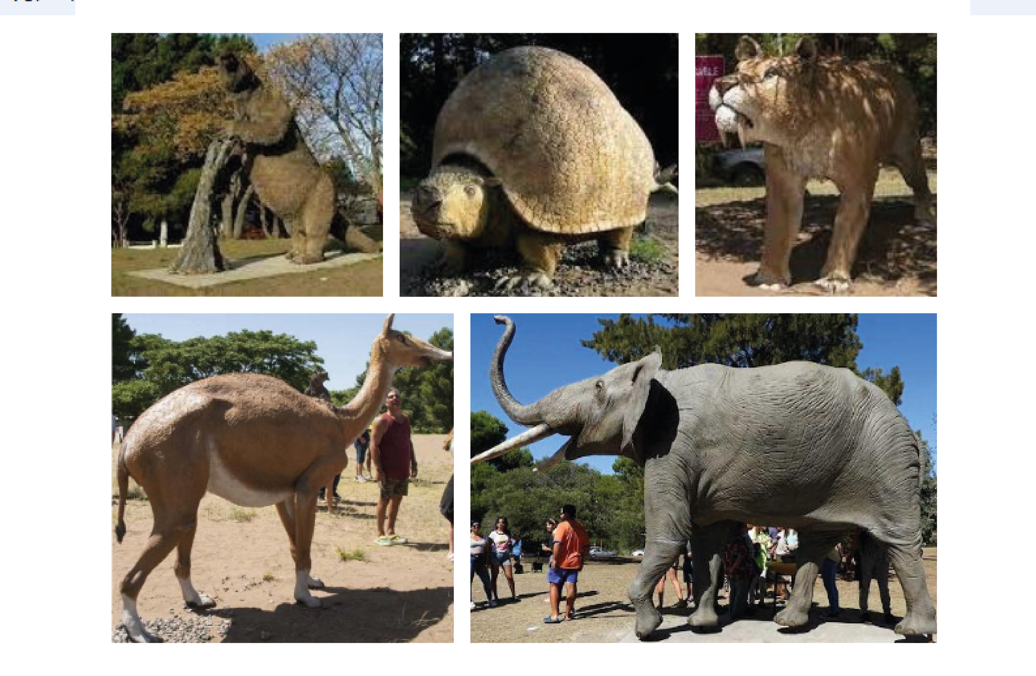Réplicas de animales extintos ubicados en
el parque temático.
