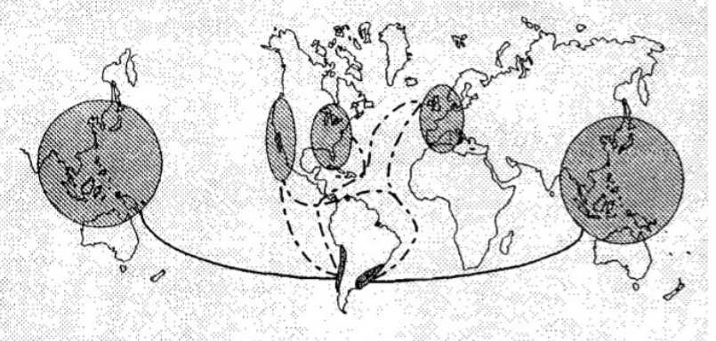 Rutas consideradas para los corredores bioce&aacute;nicos seg&uacute;n la CEPAL
