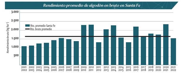 Evoluci&oacute;n de la superficie sembrada (ha) de algod&oacute;n