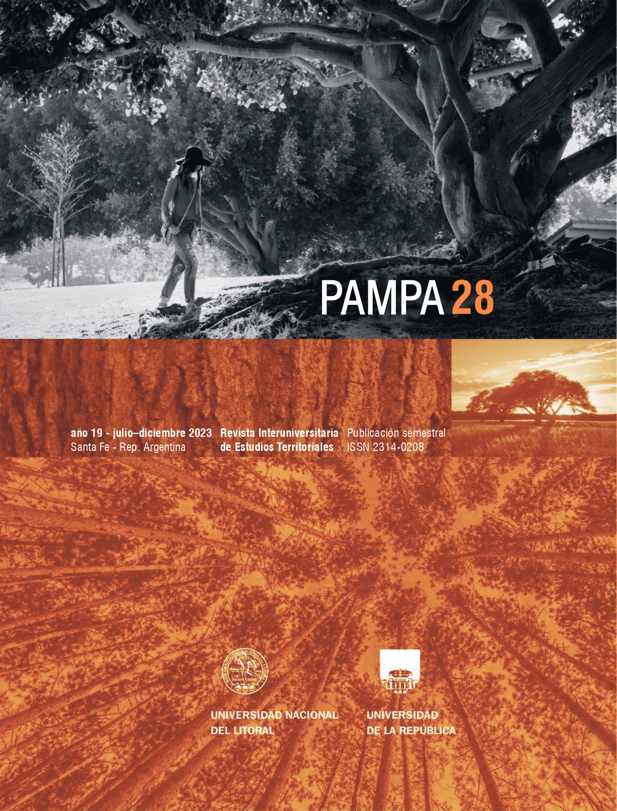					Ver Núm. 28 (2023): PAMPA
				