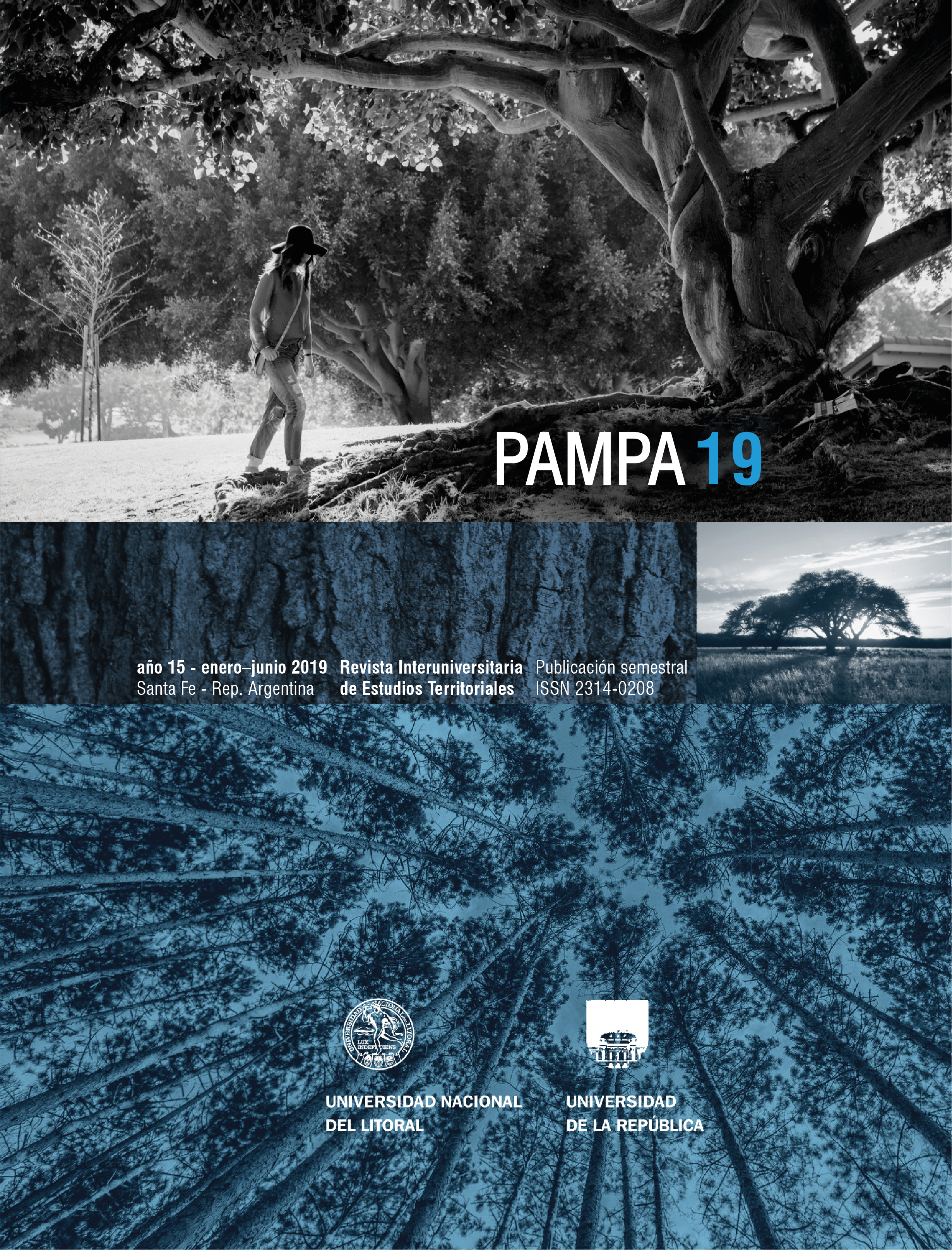 					Ver Núm. 19 (2019): Pampa
				