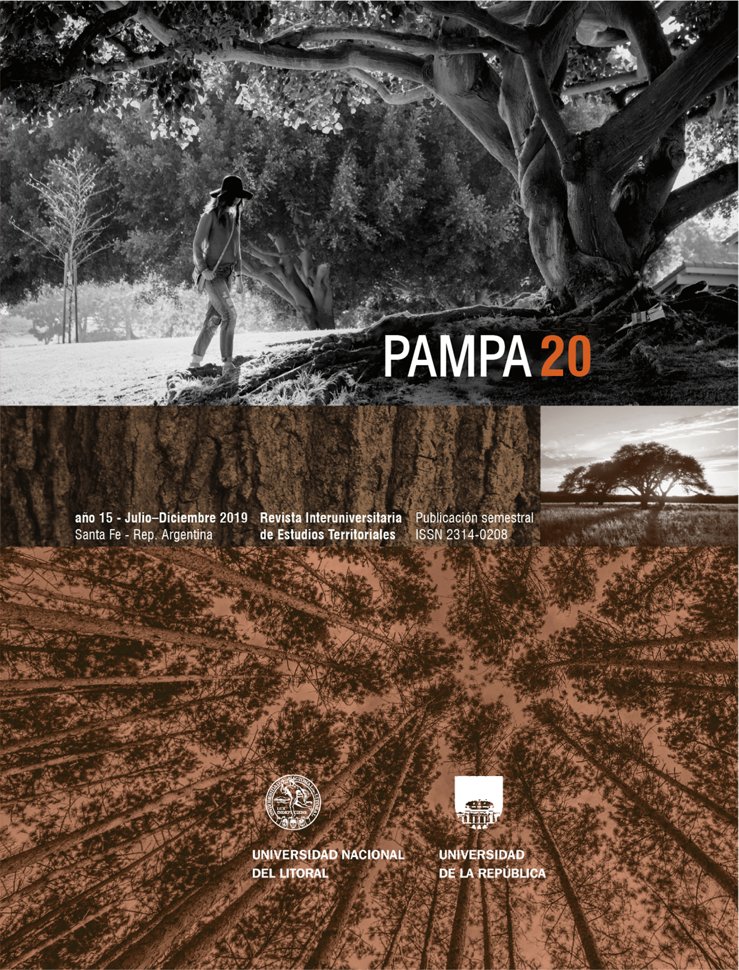					Ver Núm. 20 (2019): Pampa
				