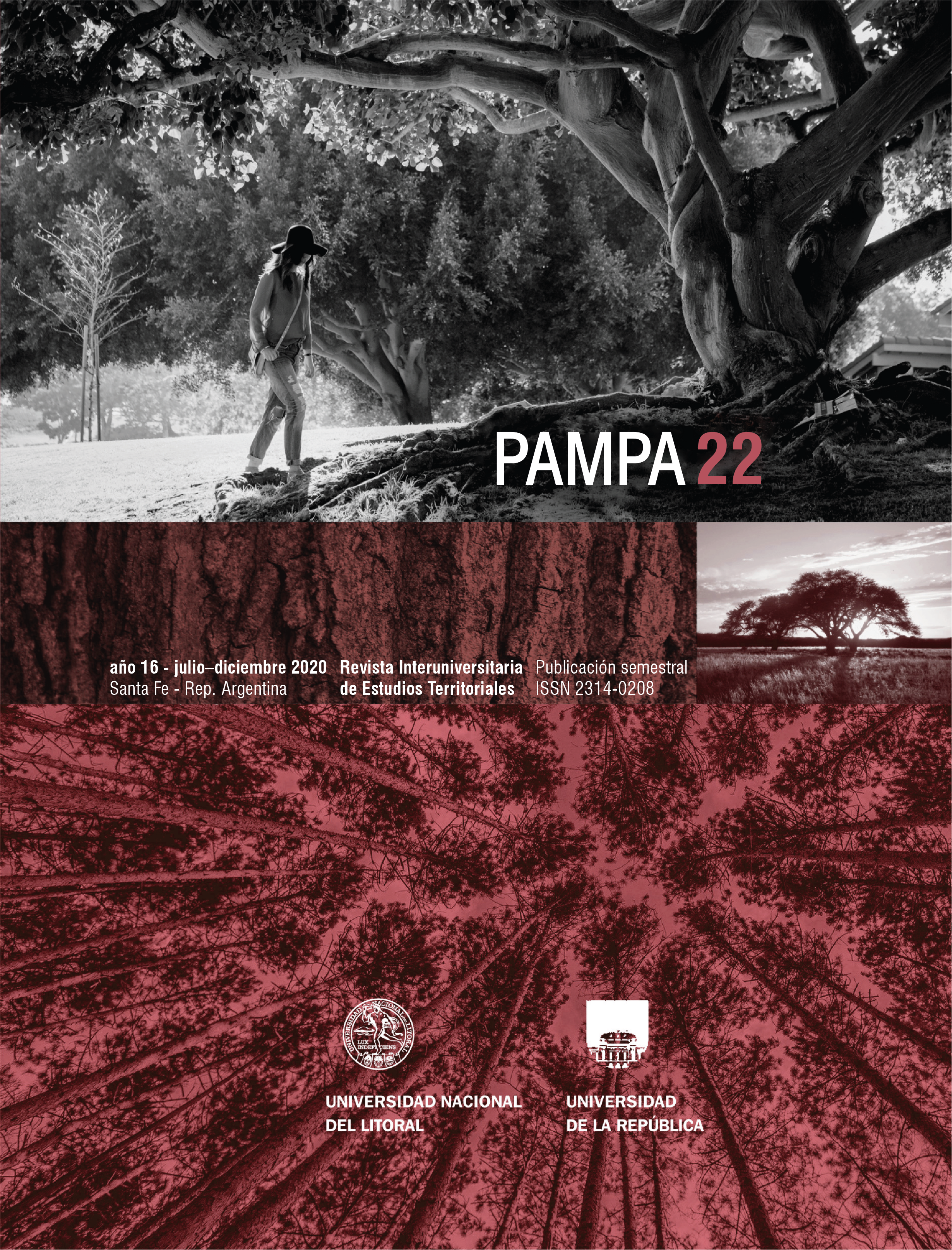 					Ver Núm. 22 (2020): Pampa
				