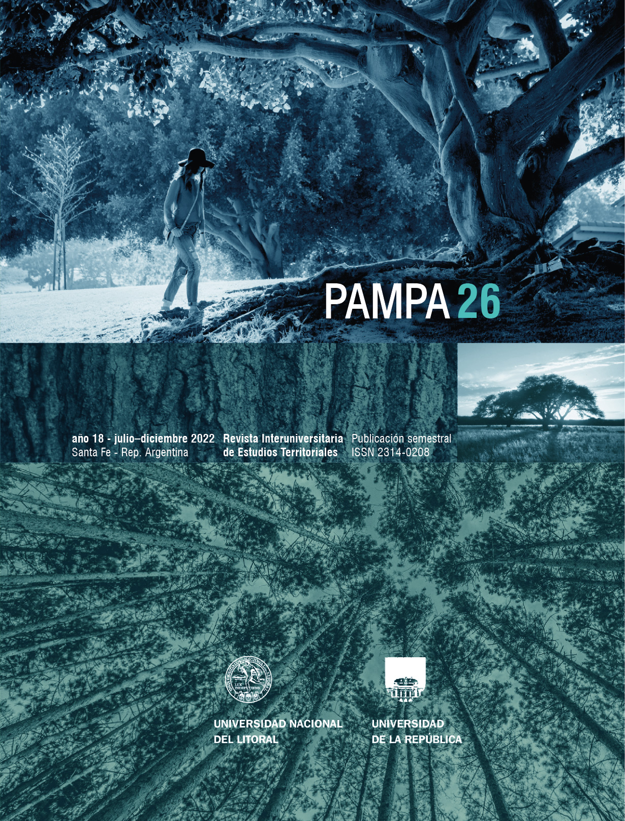 					Ver Núm. 26 (2022): Pampa
				